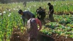 В мире. День крестьян. Доброе утро. Фрагмент выпуска от 02.03.2015