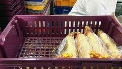 Нарезанный хлеб. Доброе утро. Фрагмент выпуска от 06.02.2015