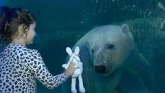 В мире. Национальный праздник Бразилии. Доброе утро. Фрагмент выпуска от 07.09.2015