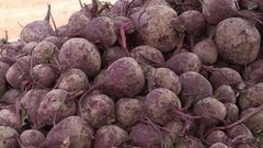 На свeклу! Доброе утро. Фрагмент выпуска от 02.09.2015