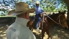 В мире. Ковбои из преступников. Доброе утро. Фрагмент выпуска от 25.08.2015