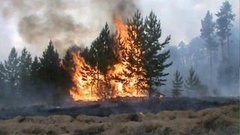 Жара. Сушь. Пожары. Доброе утро. Фрагмент выпуска от 12.08.2015