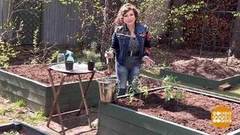 Крепче корни — выше урожай! Доброе утро. Фрагмент выпуска от 04.05.2018