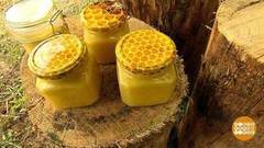 Мед льется рекой! Доброе утро. Фрагмент выпуска от 14.08.2018