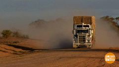 В мире. Спасительное сено. Доброе утро. Фрагмент выпуска от 25.09.2018