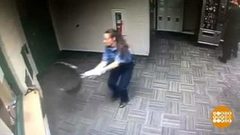 В мире. Два отчаянных енота. Доброе утро. Фрагмент выпуска от 17.10.2018