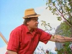 Грядка. Выпуск от 5 июня 2010