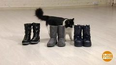 Держи ноги в тепле. Доброе утро. Фрагмент выпуска от 30.10.2018