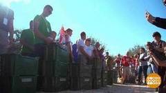 В мире. Чемпионат по сбору оливок. Доброе утро. Фрагмент выпуска от 31.10.2018