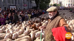 В мире. Осенний перегон овец. Доброе утро. Фрагмент выпуска от 07.11.2018