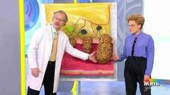 Мифы и правда о запорах. Жить здорово! Фрагмент выпуска от 21.11.2018