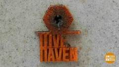 В мире. Уникальные пчелы. Доброе утро. Фрагмент выпуска от 20.02.2019