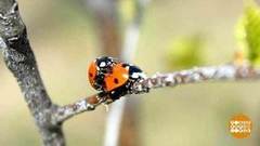 Из чего сделана весна? Доброе утро. Фрагмент выпуска от 10.04.2019