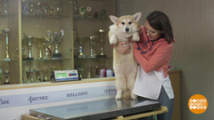 Фитнес для Плюши. Доброе утро. Фрагмент выпуска от 29.04.2019