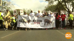 В мире. Защита от браконьеров. Доброе утро. Фрагмент выпуска от 07.05.2019