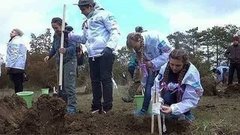 Сегодня в Севастополе появилась первая в России аллея «сирени Победы»