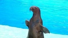 С праздником, моржи! Доброе утро. Фрагмент выпуска от 25.11.2015