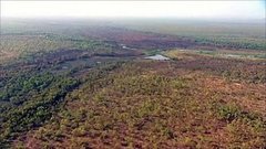 В мире. Дикие буйволы. Доброе утро. Фрагмент выпуска от 02.12.2015