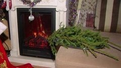 Ёлка — для здоровья!