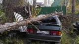 В Екатеринбурге ветер скоростью до 24 метров в секунду валил деревья на автомобили и срывал кровлю и облицовку с домов