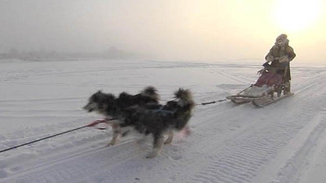 Едет едет сквозь снежную равнину. Каюр. Едет едет сквозь снежную равнину. Едет едет сквозь снежную равнину. Режьте не дожидаясь перитонита.