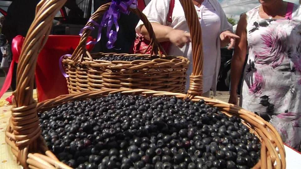 Черничный ютуб новое видео последний. Черничный Хутор на пляже. Черничный Хутор негритянка. Смотреть канал черничный рай все видео.