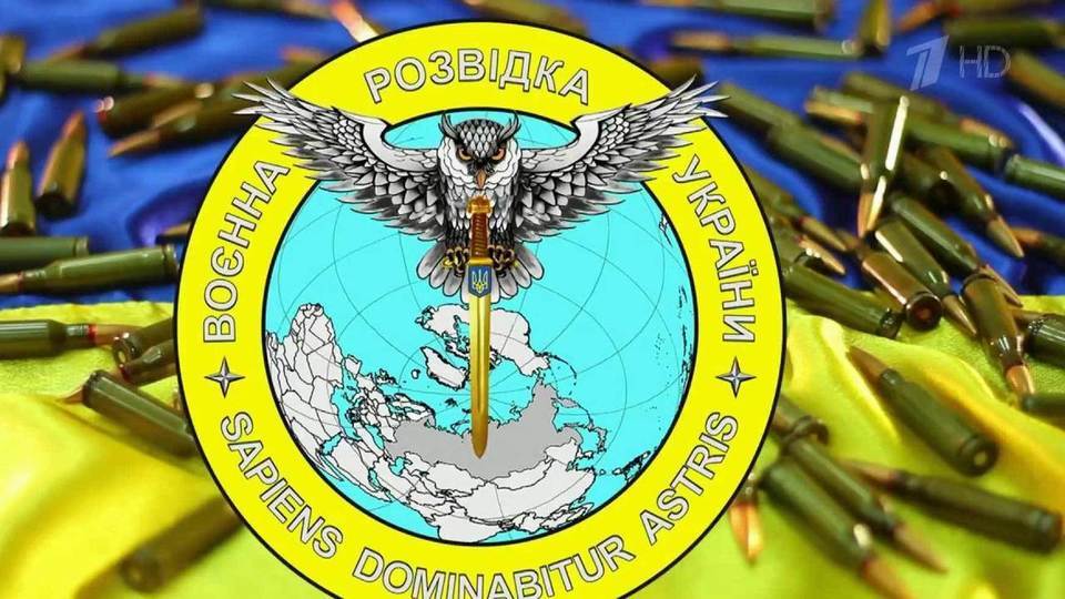 Новый символ военной разведки Украины — сова, которая заносит меч над Россией. Новости. Первый канал