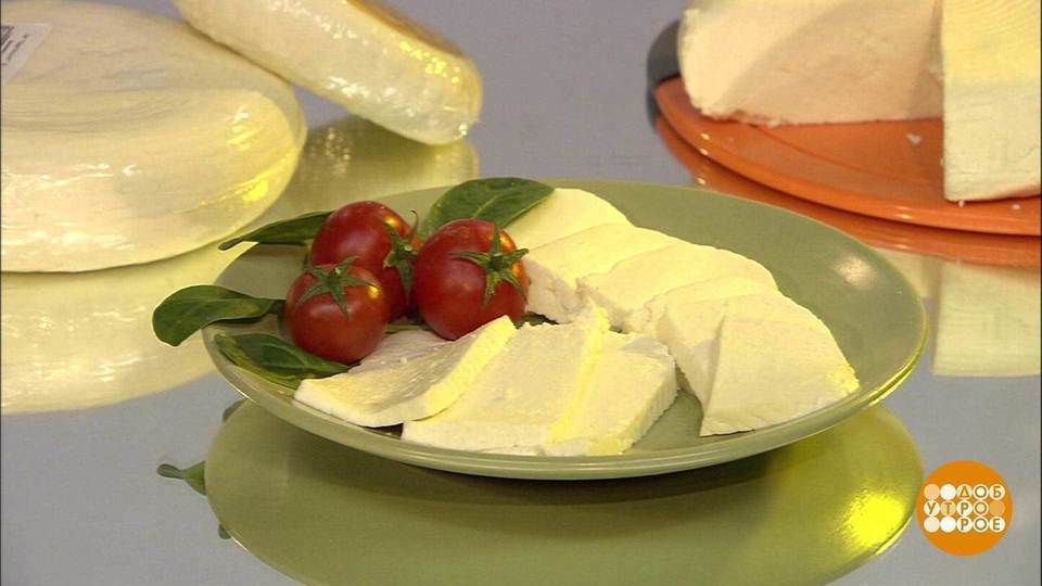 Адыгейский сыр: цена и качество. Доброе утро. Фрагмент выпуска от 16.06 ...