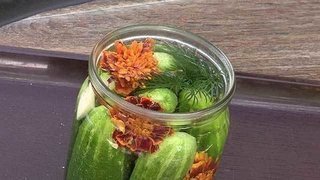 Заготовки из бархатцев. Доброе утро. Фрагмент выпуска от 16.09.2015