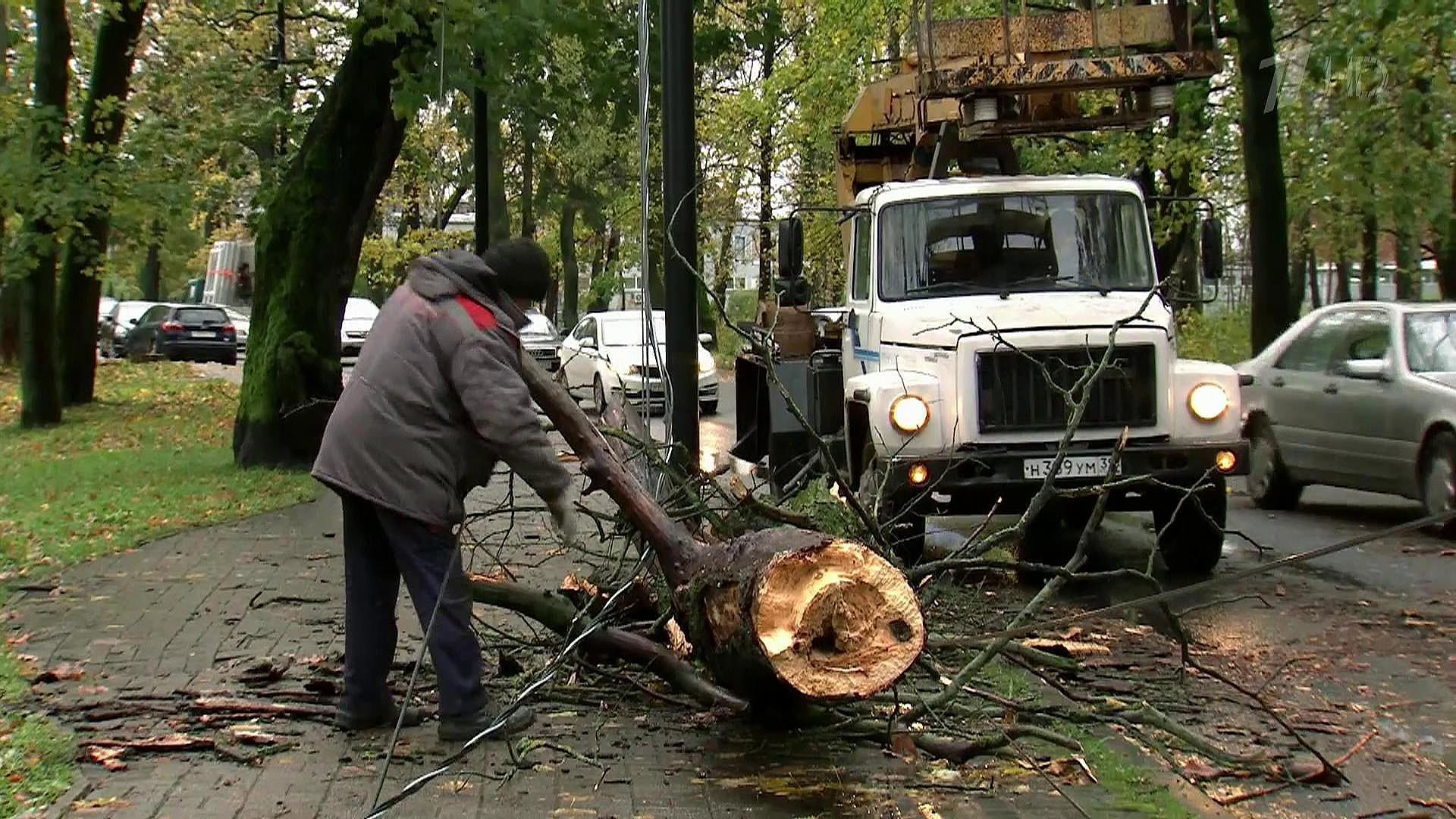 Новости (с субтитрами)