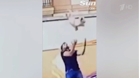 В Бразилии мужчина поймал упавшую с девятого этажа собаку. Хиты интернета