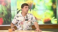 Дмитрий Орлов