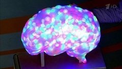 Как сдать ЕГЭ и остаться здоровым. Жить здорово! Фрагмент выпуска от 31.05.2016