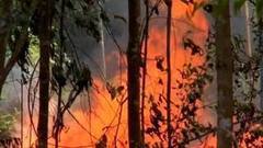 В мире. Горят леса. Доброе утро. Фрагмент выпуска от 07.09.2016