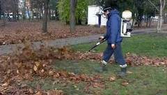 Садовые пылесосы. Доброе утро. Фрагмент выпуска от 13.09.2016