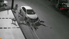 В Турции стая бродячих собак буквально растащила припаркованный автомобиль на части. Хиты интернета