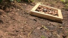 Подставка для мытья ног. Доброе утро. Фрагмент выпуска от 10.07.2015