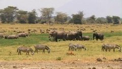 В мире. Танзания: национальный праздник. Доброе утро. Фрагмент выпуска от 07.07.2015