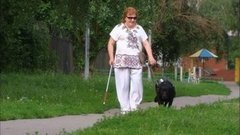 Собаки-поводыри. Доброе утро. Фрагмент выпуска от 07.07.2015