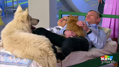 Жить здорово! Выпуск от 20.01.2017