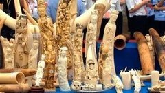 В мире. Китай: контрабанда слоновой кости. Доброе утро. Фрагмент выпуска от 02.07.2015