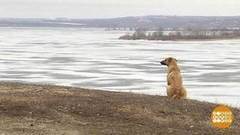 Паводок все ближе.Доброе утро. Фрагмент выпуска от 03.03.2017