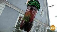 Скворечники из всего. Доброе утро. Фрагмент выпуска от 17.03.2017