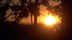 Полярный день. Доброе утро. Фрагмент выпуска от 04.06.2015