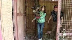 Здесь помогают птицам. Доброе утро. Фрагмент выпуска от 02.06.2015