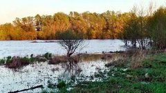 Кто должен чистить реки? Доброе утро. Фрагмент выпуска от 14.05.2015