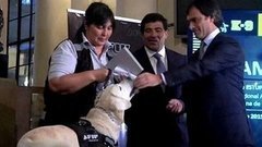 В мире. Заслуженные псы-нюхачи. Доброе утро. Фрагмент выпуска от 13.05.2015