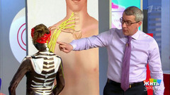 Что важно знать о боли в шее. Жить здорово! Фрагмент выпуска от 11.05.2017