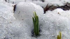 Прогноз погоды на весну. Доброе утро. Фрагмент выпуска от 27.02.2015