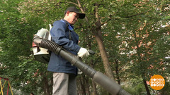 Дворники в дефиците. Доброе утро. Фрагмент выпуска от 10.10.2017